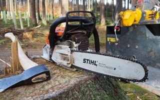 Professioneller Baumschnitt und sichere Baumfällung durch Erdic Gartenbau in Bremen