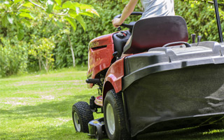 Professionelle Gartenpflege und Rasenpflege durch Erdic Gartenbau in Bremen