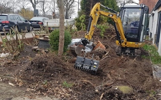 Rodungsarbeiten Bremen