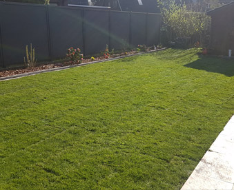 Fertig verlegter Rollrasen an Terrasse im Garten Bremen