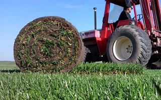 Rollrasen verlegen und neuen Rasen anlegen für Gärten, Grünflächen und Außenanlagen